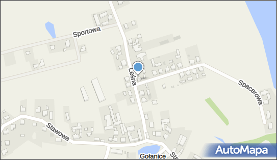 Przedsięb Handlowe Grażka Eksport Import Gołanice, Leśna 16 64-117 - Przedsiębiorstwo, Firma, NIP: 6971030538