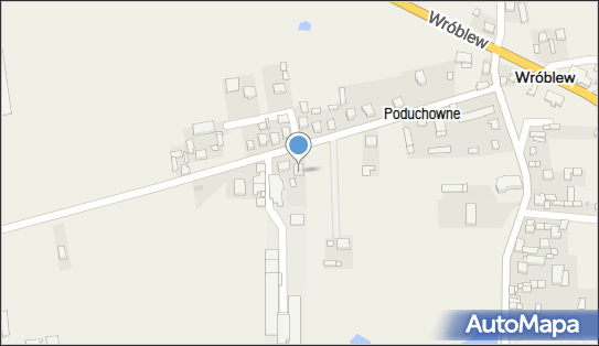 Przedsiębiorstwo Drobiarskie Grzegorz Wyrębski, Wróblew 26 98-285 - Przedsiębiorstwo, Firma, NIP: 8270017368