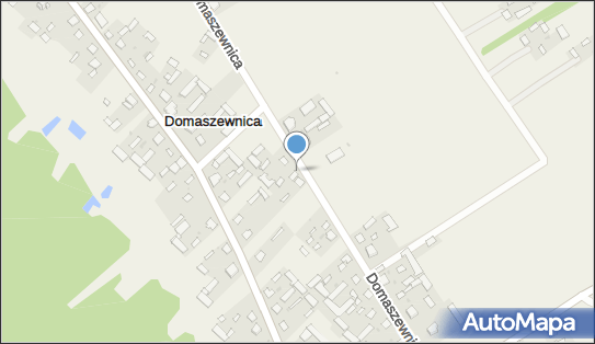 Przedsiębiorstwo, Firma, Domaszewnica 121, Domaszewnica 21-307 - Przedsiębiorstwo, Firma, NIP: 5381768225