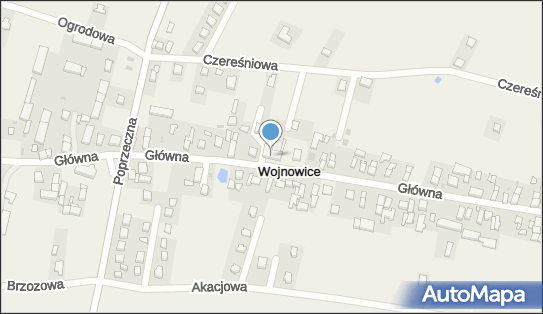 Przedsiębiorstwo, Firma, ul. Główna 41, Wojnowice 55-003 - Przedsiębiorstwo, Firma, NIP: 8961429808