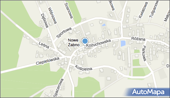 Przedsiębiorstwo, Firma, Nowe Żabno 1A, Nowe Żabno 67-100 - Przedsiębiorstwo, Firma, NIP: 9251956462