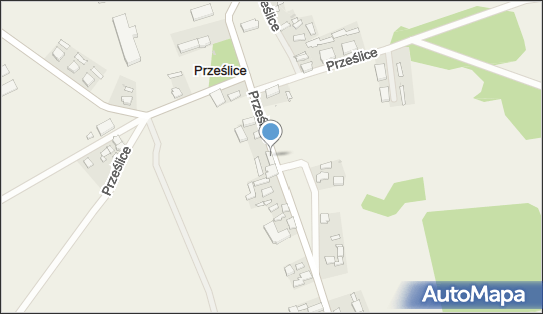 Przedsiębiorstwo, Firma, Prześlice 20, Prześlice 66-235 - Przedsiębiorstwo, Firma, NIP: 4290009370