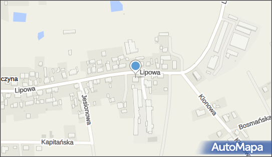 Przedsiębiorstwo, Firma, ul. Lipowa 56, Lubczyna 72-105 - Przedsiębiorstwo, Firma, NIP: 8560000844