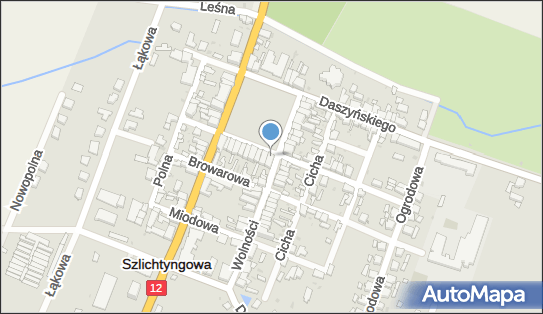 Przedsiębiorstwo, Firma, ul. Rynek 1, Szlichtyngowa 67-407 - Przedsiębiorstwo, Firma, NIP: 9251868769