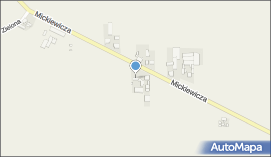 Przedsiębiorstwo Handlowe Anna Anna Kokocińska, ul. Mickiewicza 7 64-010 - Przedsiębiorstwo, Firma, NIP: 5791403196