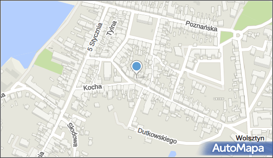 Przedsiębiorstwo Handlowe Arteks, ul. DR KOCHA 42, Wolsztyn 64-200 - Przedsiębiorstwo, Firma, NIP: 7881128872