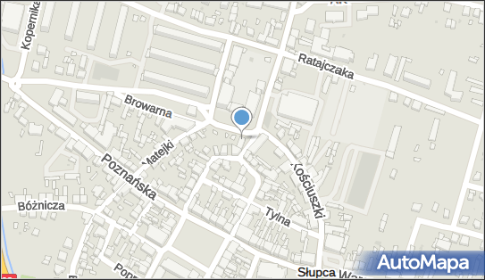 Przedsiębiorstwo Handlowe Aw, pl. Szkolny 2, Słupca 62-400 - Przedsiębiorstwo, Firma, NIP: 6671308857