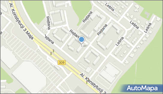 Przedsiębiorstwo Handlowe Budi Leszno, ul. Tadeusza Rejtana 72 64-100 - Przedsiębiorstwo, Firma, NIP: 6971948644