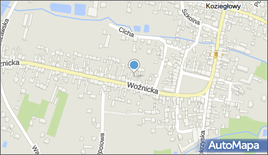 Przedsiębiorstwo Handlowe Ola, Woźnicka 12, Koziegłowy 42-350 - Przedsiębiorstwo, Firma, numer telefonu, NIP: 5771010223