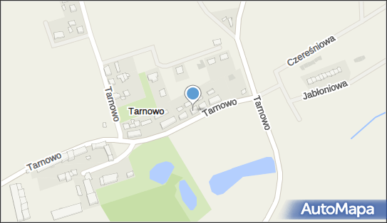 Przedsiębiorstwo Handlowe Somax Sienniccy, Tarnowo 8, Tarnowo 62-025 - Przedsiębiorstwo, Firma, NIP: 7822257148