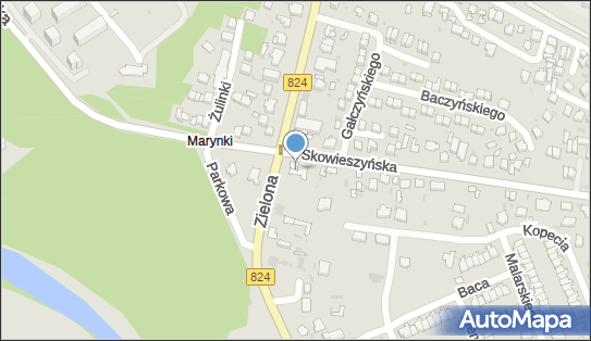 Przedsiębiorstwo Handlowo Produkcyjne Gold, Zielona 23, Puławy 24-100 - Przedsiębiorstwo, Firma, NIP: 5832834132