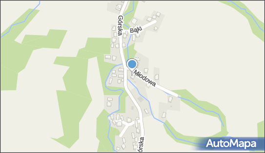 Przedsiębiorstwo Handlowo - Transportowe Skórpex II Helena Brandys 34-360 - Przedsiębiorstwo, Firma, NIP: 5531462210