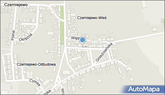 Przedsiębiorstwo Handlowo Usługowe Aga Agnieszka Kucza 62-250 - Przedsiębiorstwo, Firma, NIP: 7841982258