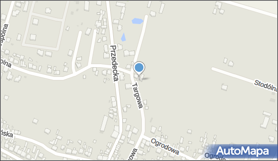 Przedsiębiorstwo Handlowo - Usługowe Andrzej Boczkowski, Kłodawa 62-650 - Przedsiębiorstwo, Firma, NIP: 6661917721