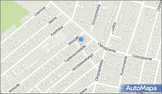 Przedsiębiorstwo Handlowo-Usługowe Auto-Hol, ul. Tadeuszowska 55 26-600 - Przedsiębiorstwo, Firma, NIP: 7991491616