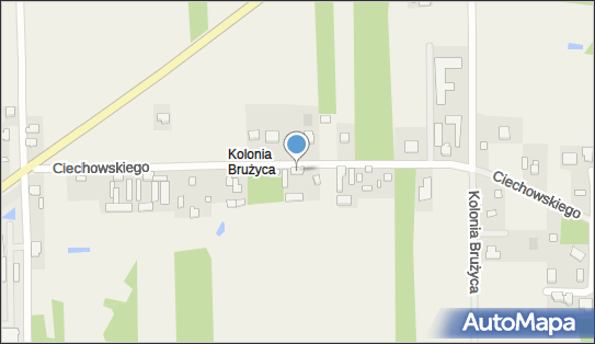 Przedsiębiorstwo Handlowo Usługowe Dekoraj, Kolonia Brużyca 10 95-070 - Przedsiębiorstwo, Firma, NIP: 9470004543