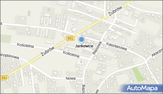 Przedsiębiorstwo Handlowo Usługowe Dorota Dopieralska Łukasz Dopieralski 43-215 - Przedsiębiorstwo, Firma, numer telefonu, NIP: 6381728841