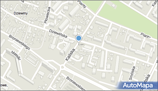 Przedsiębiorstwo Handlowo Usługowe Dziupla, Kaliska 61, Włocławek 87-800 - Przedsiębiorstwo, Firma, NIP: 8881949807