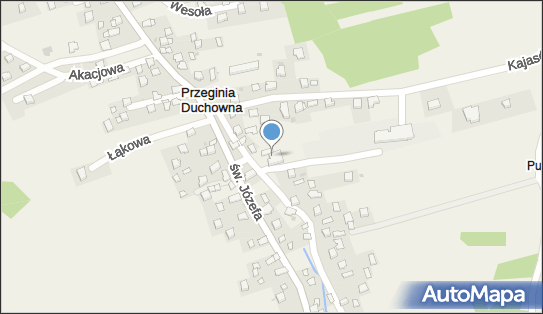 Przedsiębiorstwo Handlowo Usługowe Gig, Przeginia Duchowna 35 32-061 - Przedsiębiorstwo, Firma, numer telefonu, NIP: 9440001132