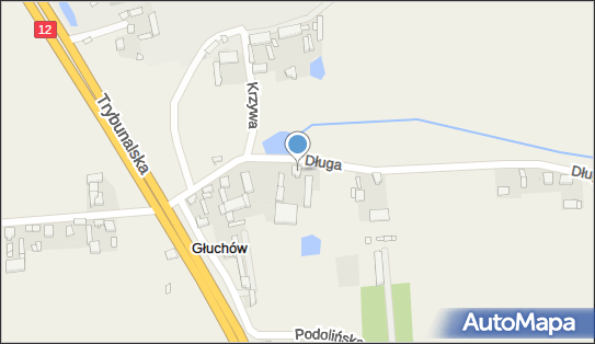 Przedsiębiorstwo Handlowo Usługowe Iza, Długa 85, Głuchów 95-080 - Przedsiębiorstwo, Firma, NIP: 7710016126