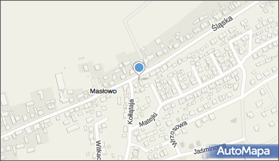 Przedsiębiorstwo Handlowo Usługowe Janina Mikołajczak Zbigniew Mikołajczak Masłowo 63-900 - Przedsiębiorstwo, Firma, NIP: 6991759768