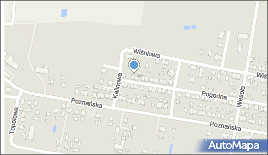 Przedsiębiorstwo Handlowo - Usługowe Jerzy Wesołowski 88-230 - Przedsiębiorstwo, Firma, NIP: 8891195600