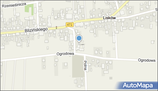 Przedsiębiorstwo Handlowo - Usługowe Lament Travel Michał Lament 62-850 - Przedsiębiorstwo, Firma, NIP: 9680878521