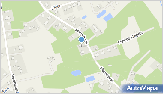 Przedsiębiorstwo Handlowo Usługowe Maurycjus Izabela Szymańska 96-316 - Przedsiębiorstwo, Firma, NIP: 8381053462