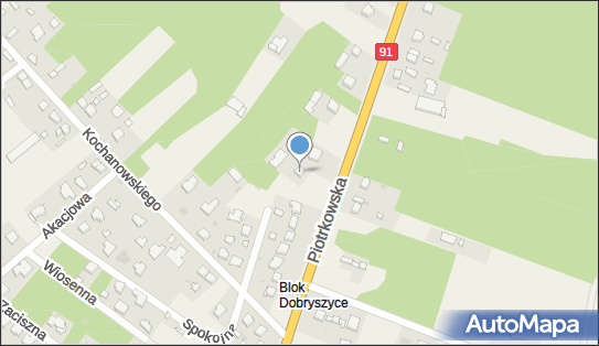Przedsiębiorstwo Handlowo Usługowe Max Car, Piotrkowska 41 97-505 - Przedsiębiorstwo, Firma, NIP: 7721121507