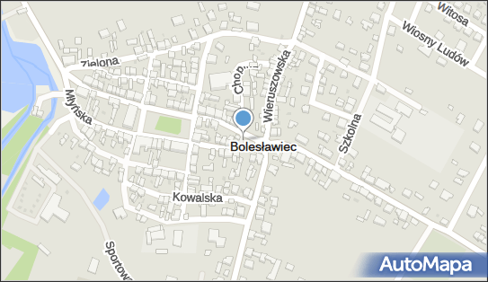 Przedsiębiorstwo Handlowo- Usługowe Max- Jacek Jeżykowski 98-430 - Przedsiębiorstwo, Firma, NIP: 9970002949