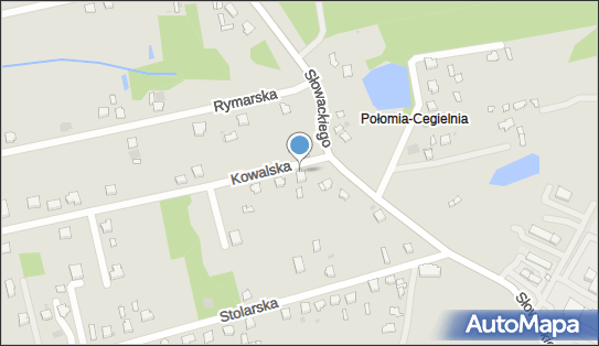 Przedsiębiorstwo Handlowo Usługowe Olamed Aleksandra Sierpińska 42-300 - Przedsiębiorstwo, Firma, NIP: 5771872344
