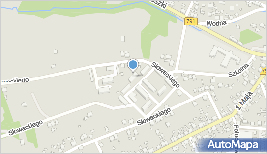 Przedsiębiorstwo Handlowo Usługowe Paula, ul. Słowackiego N/N 42-440 - Przedsiębiorstwo, Firma, NIP: 6491365983