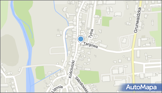 Przedsiębiorstwo Handlowo Usługowe Print, ul. Kościuszki 50 48-340 - Przedsiębiorstwo, Firma, NIP: 7551002079