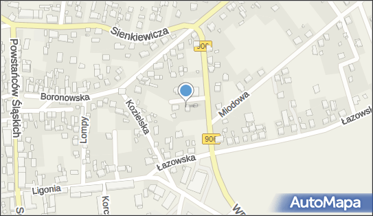 Przedsiębiorstwo Handlowo Usługowe Raster, Legionów 1, Koszęcin 42-286 - Przedsiębiorstwo, Firma, numer telefonu, NIP: 5751725031