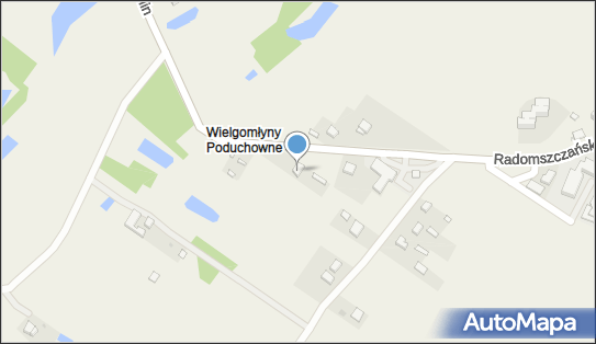 Przedsiębiorstwo Handlowo Usługowe Regan, ul. Radomszczańska 10B 97-525 - Przedsiębiorstwo, Firma, numer telefonu, NIP: 7722315343