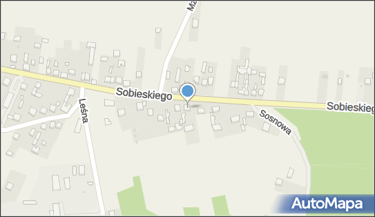 Przedsiębiorstwo Handlowo Usługowe Skórnex, ul. Sobieskiego 96 42-320 - Przedsiębiorstwo, Firma, NIP: 5771846370