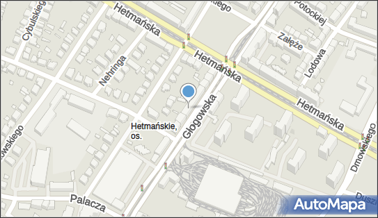 Przedsiębiorstwo Handlowo Usługowe Spider, ul. Głogowska 124 60-244 - Przedsiębiorstwo, Firma, NIP: 7881408873