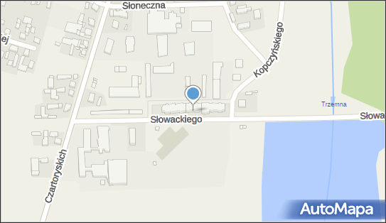 Przedsiębiorstwo Handlowo - Usługowe Tech-Ar Arkadiusz Ciesielski 63-322 - Przedsiębiorstwo, Firma, NIP: 9680358810