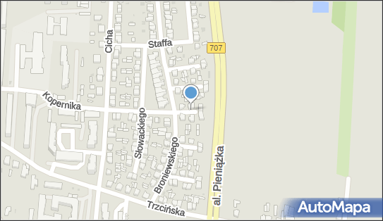 Przedsiębiorstwo Handlowo Usługowe Trans, Skierniewice 96-100 - Przedsiębiorstwo, Firma, NIP: 8361184675