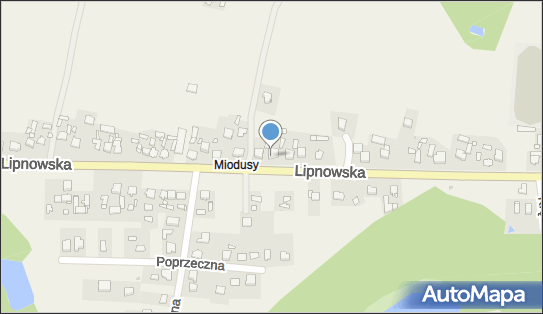 Przedsiębiorstwo Handlowo Usługowe Wilk - Andrzej Wilk, Wielgie 87-603 - Przedsiębiorstwo, Firma, NIP: 4660185054