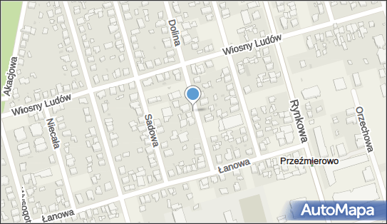 Przedsiębiorstwo Handlowo-Usługowe Witalis Dehmel, Dolina 54 62-081 - Przedsiębiorstwo, Firma, NIP: 7772814976