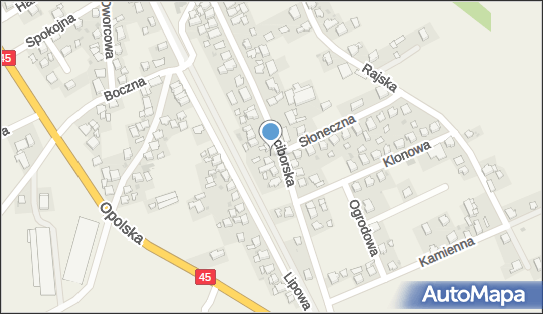 Przedsiębiorstwo Handlowo Usługowe, Raciborska 91, Reńska Wieś 47-208 - Przedsiębiorstwo, Firma, NIP: 7491050412