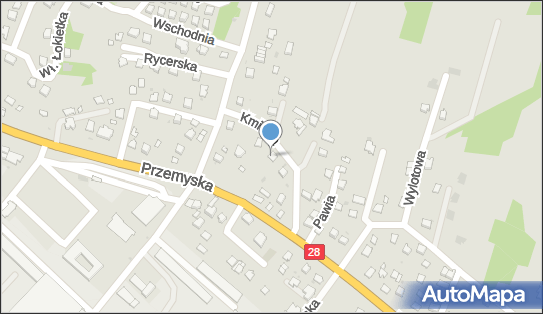 Przedsiebiorstwo Handlowo Usługowe, ul. Kmicica 8, Sanok 38-500 - Przedsiębiorstwo, Firma, numer telefonu, NIP: 6871010453
