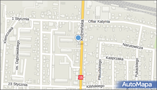 Przedsiębiorstwo Handlowo Usługowe, ul. Koźmińska 67B 63-700 - Przedsiębiorstwo, Firma, NIP: 6210038288