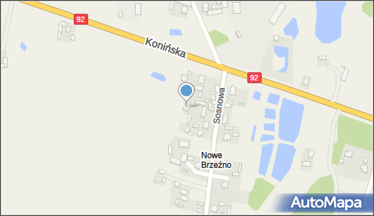 Przedsiębiorstwo Handlowo Usługowe, Sosnowa 11, Brzeźno 62-513 - Przedsiębiorstwo, Firma, NIP: 6671308484