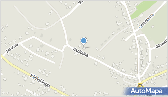 Przedsiębiorstwo Lech Trans Janusz Lechowicz, Szpitalna 28, Żabno 33-240 - Przedsiębiorstwo, Firma, NIP: 8711121469