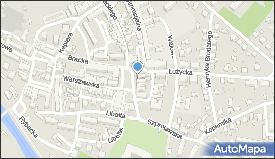 Przedsiębiorstwo Prod Han Usł Pamed i Pietraszkiewicz E Krac 68-100 - Przedsiębiorstwo, Firma, NIP: 9241003909