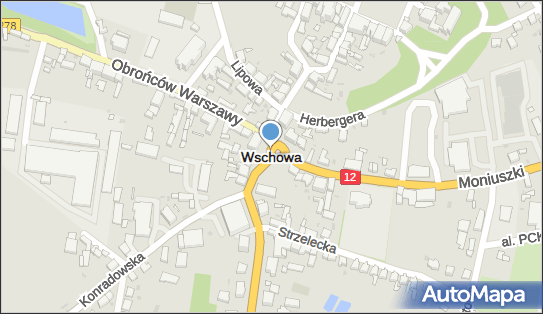 Przedsiębiorstwo Produkcyjno Handlowe Amigo, Wschowa 3, Wschowa 67-400 - Przedsiębiorstwo, Firma, numer telefonu, NIP: 6970013549