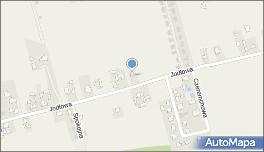 Przedsiębiorstwo Produkcyjno Handlowo Usługowe B w z Ziarnecka Barbara 62-571 - Przedsiębiorstwo, Firma, NIP: 6651271105