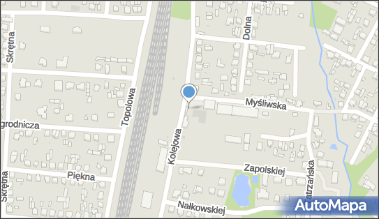 Przedsiębiorstwo Produkcyjno Handlowo Usługowe Drew - Pasz Józef Drewnicki 95-015 - Przedsiębiorstwo, Firma, NIP: 7331010639